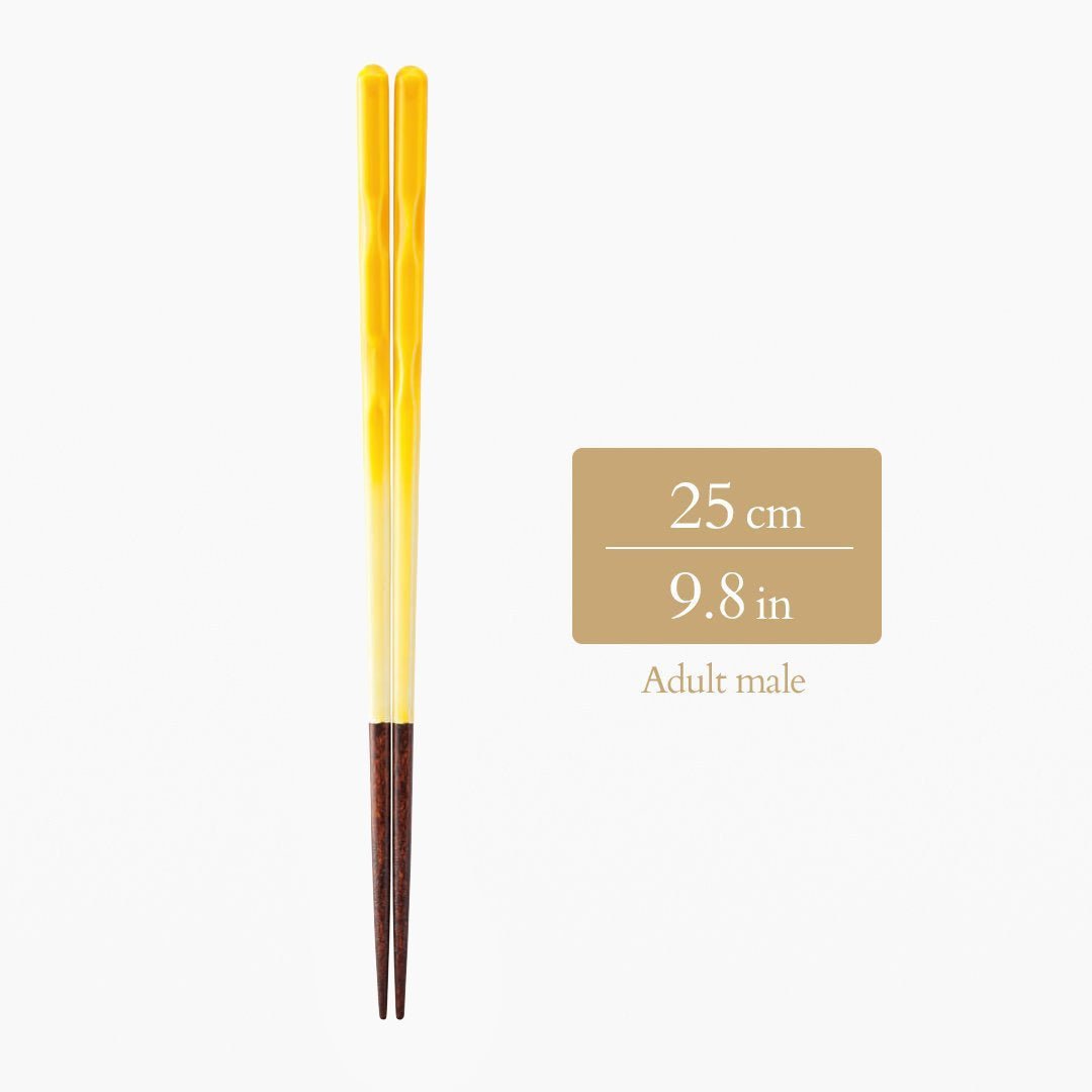 Perfect Fit Dishwasher Safe Wakasa Lacquer Reusable Chopsticks Yellow 15 cm (5.9 in) - 22.5 cm (8.9 in) - MUSUBI KILN - Quality Japanese Tableware and Gift