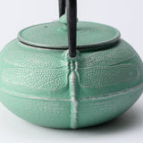 Roji Associates Mint Green Dragonfly Nambu Ironware Cast Iron Teapot - MUSUBI KILN - Quality Japanese Tableware and Gift