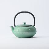 Roji Associates Mint Green Dragonfly Nambu Ironware Cast Iron Teapot - MUSUBI KILN - Quality Japanese Tableware and Gift