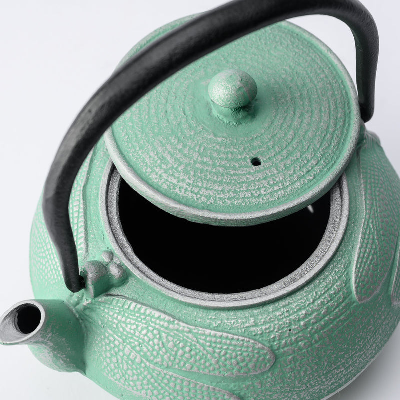 Roji Associates Mint Green Dragonfly Nambu Ironware Cast Iron Teapot - MUSUBI KILN - Quality Japanese Tableware and Gift