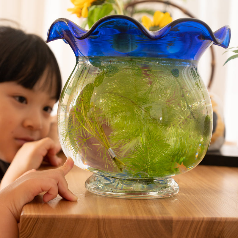 Hirota Blue Edo Glass Goldfish Bowl