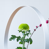 ALART Aluminum Round Window Frame Single Flower Vase