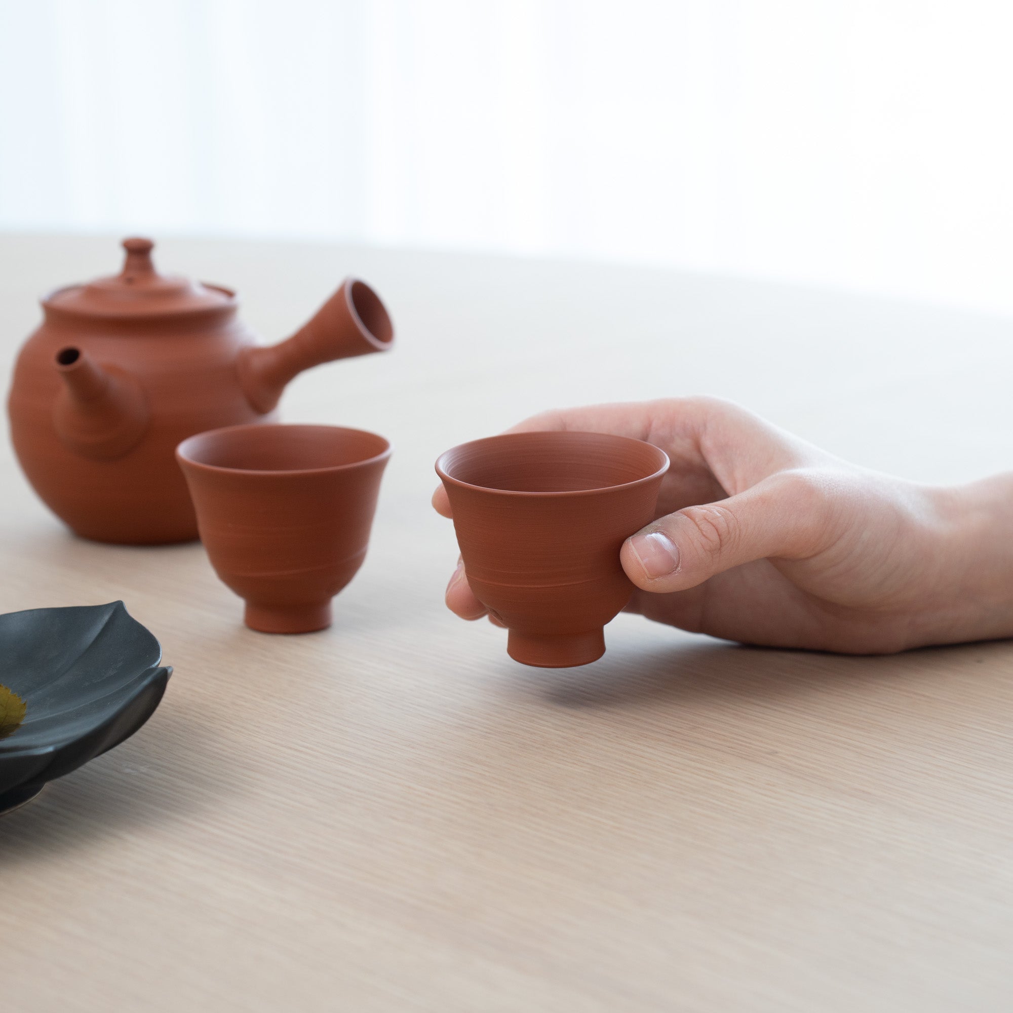 Fugetsu Red Clay Tokoname Japanese Teapot Set 9.5oz(280ml)-Sasame and Ceramesh