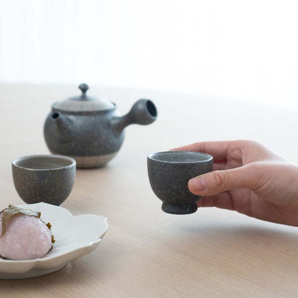 Tokuta Rourette Tokoname Japanese Teapot Set 8.5oz(250ml)-Sasame and Ceramesh