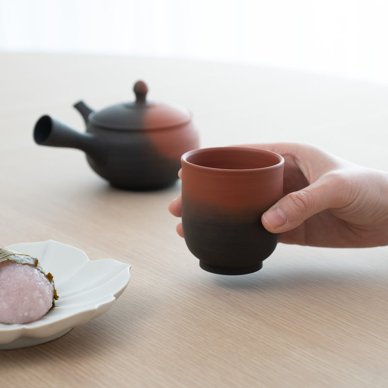 Koji Rokuro-me Tokoname Japanese Teapot Set 9.1oz(270ml)-Sasame and Ceramesh