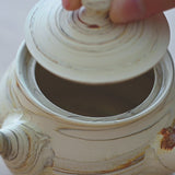Kenji Marble Pattern Tokoname Japanese Teapot Set 9.1oz(270ml)-Sasame and Ceramesh