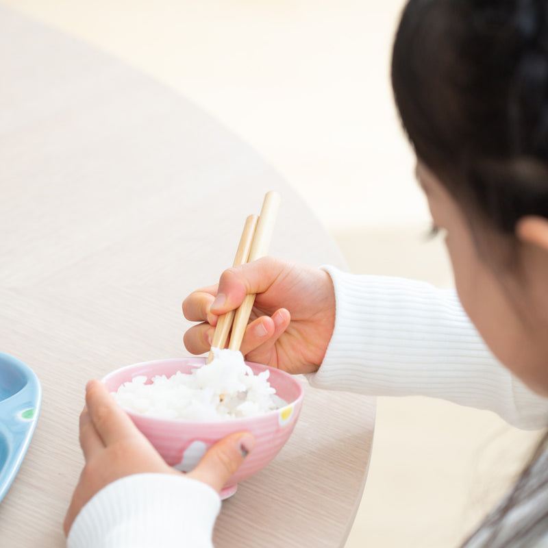Oshin Kiln Pink Rabbit Hasami Children's Japanese Rice Bowl