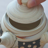 Kenji Black Polka Dot Tokoname Japanese Teapot Set 9.1oz(270ml)-Sasame and Ceramesh