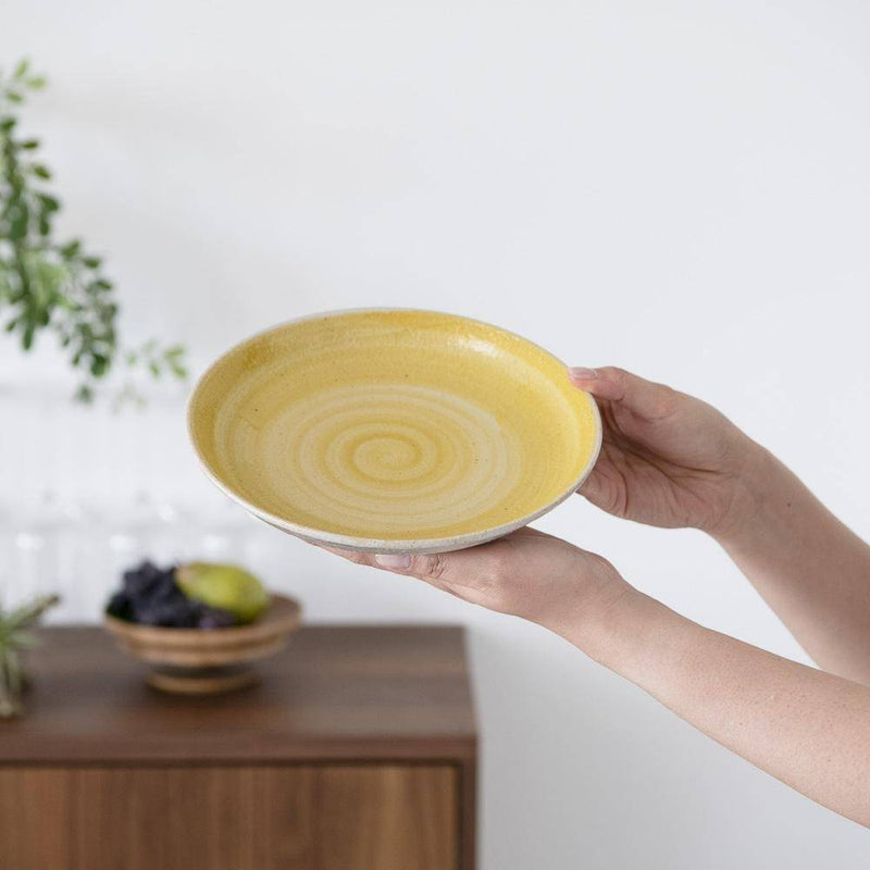 Hibino Foodie Mino Ware Round Plate 8.2in - MUSUBI KILN - Handmade Japanese Tableware and Japanese Dinnerware