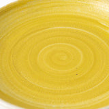 Hibino Foodie Mino Ware Round Plate 9.9in - MUSUBI KILN - Handmade Japanese Tableware and Japanese Dinnerware