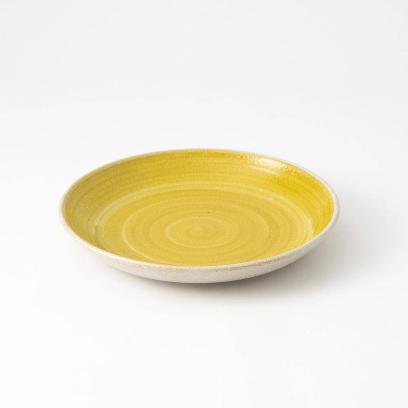 Hibino Foodie Mino Ware Round Plate 9.9in - MUSUBI KILN - Handmade Japanese Tableware and Japanese Dinnerware