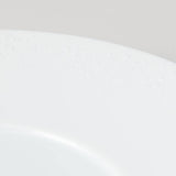 Hibino Tenter Mino Ware Round Plate - MUSUBI KILN - Handmade Japanese Tableware and Japanese Dinnerware