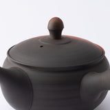 Koji Rokuro-me Tokoname Japanese Teapot Set 9.1oz(270ml)-Sasame and Ceramesh - MUSUBI KILN - Handmade Japanese Tableware and Japanese Dinnerware