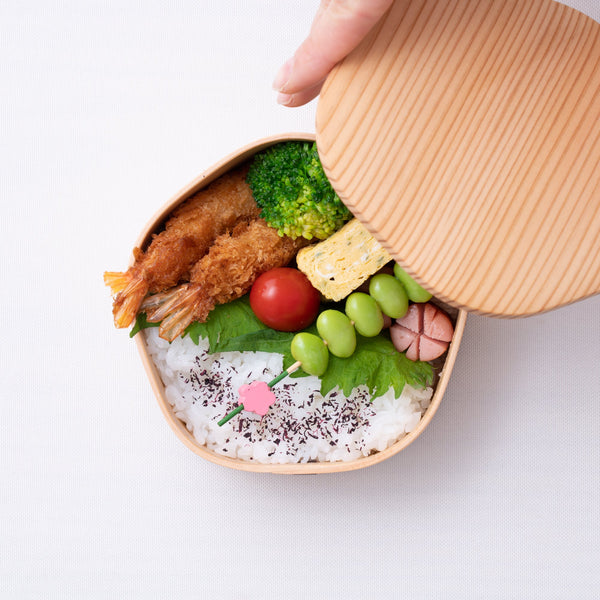 Bento Dinner Plates - A Modern Bento Box Collection - MyGlassStudio