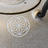 Seven Stars Nambu Ironware Cast Iron Teapot with Trivet - MUSUBI KILN - Handmade Japanese Tableware and Japanese Dinnerware