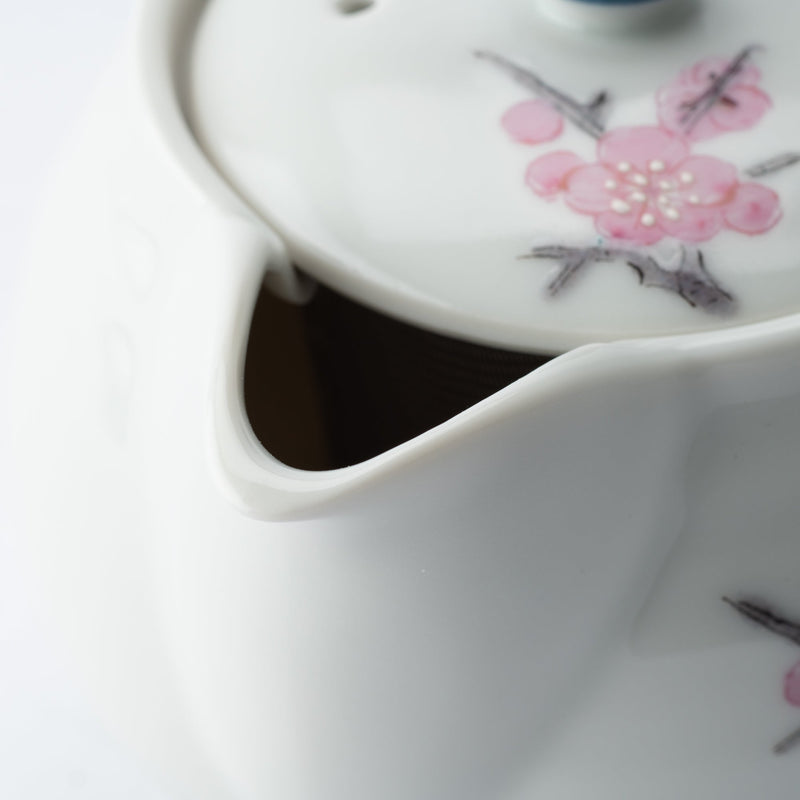 Sparrow Kutani Japanese Teapot Set - MUSUBI KILN - Handmade Japanese Tableware and Japanese Dinnerware