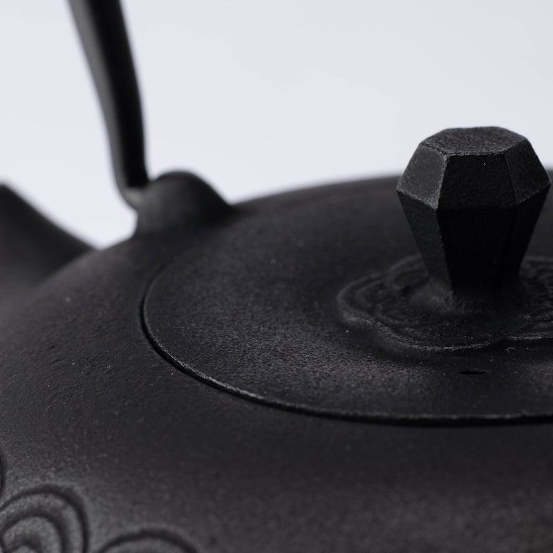 Seven Stars Nambu Ironware Cast Iron Teapot with Trivet 20.3oz