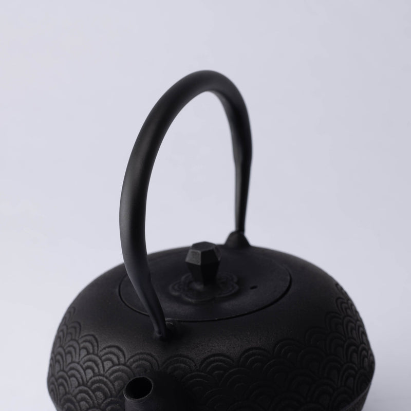 Seven Stars Nambu Ironware Cast Iron Teapot with Trivet 20.3oz